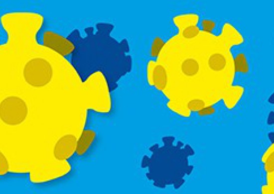 We varen weer! We varen weer!